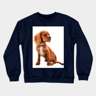 Brown sitting dog Crewneck Sweatshirt